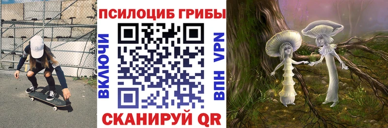 наркота  Дмитровск  blacksprut рабочий сайт  Галлюциногенные грибы GOLDEN TEACHER 