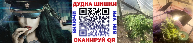 Бошки Шишки ГИДРОПОН  Дмитровск 